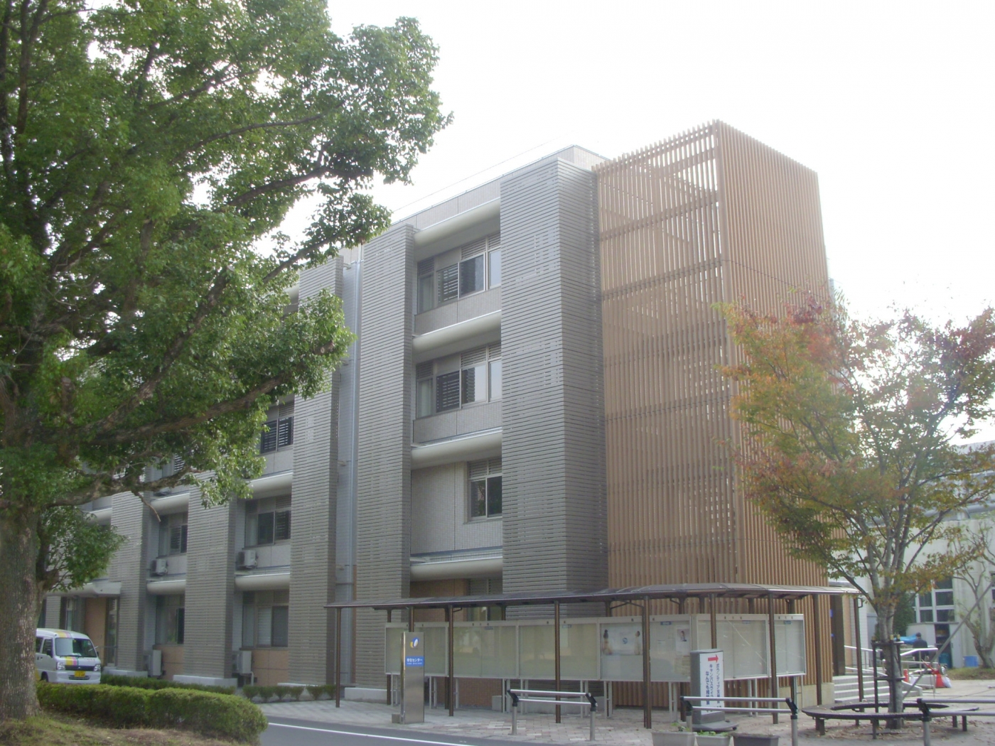 大学