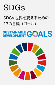 SDGs：SDGs 世界を変えるための17の目標（ゴール）